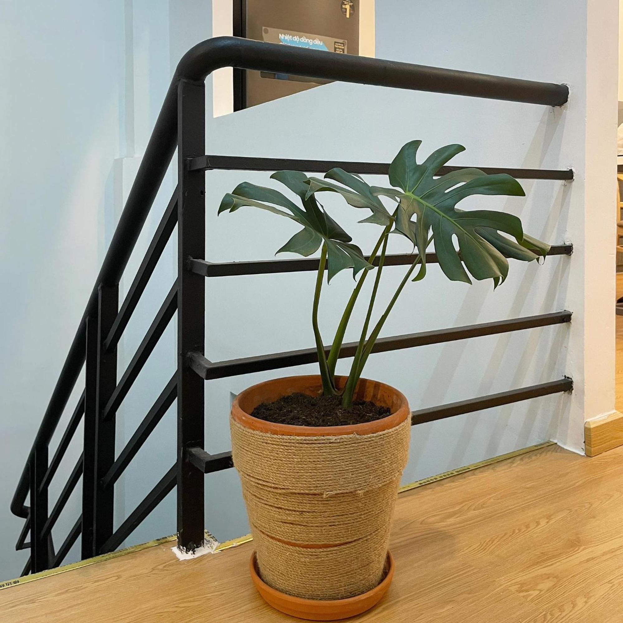 Alphabet Home Capsule TP. Hồ Chí Minh Ngoại thất bức ảnh